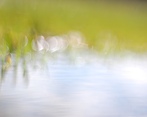 elizabethhalt.com | a wandering collection of art | silence