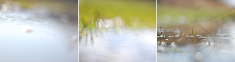 elizabethhalt.com | silence, the series