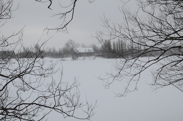 elizabethhalt.com | a snowshoe hike around calumet lake