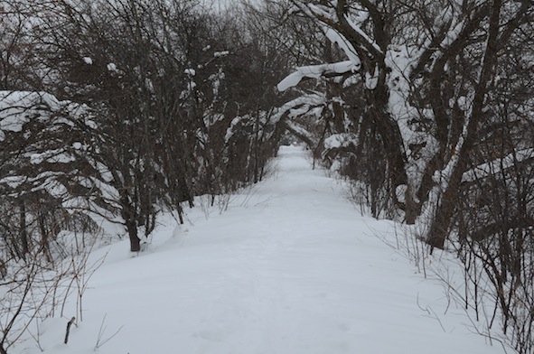 elizabethhalt.com | a snowshoe hike around calumet lake