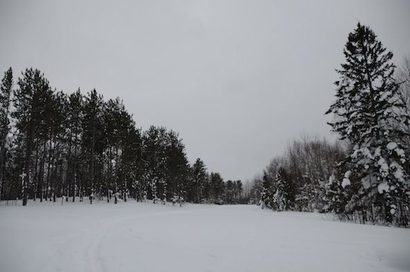 elizabethhalt.com | a snowshoe hike around calumet lake