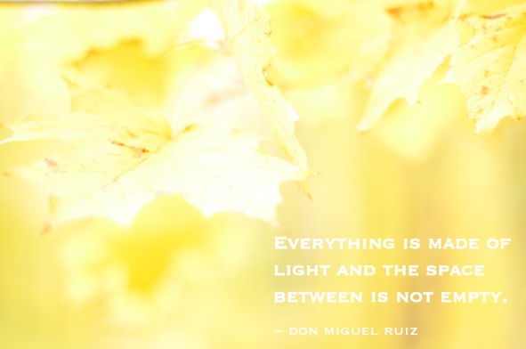 elizabethhalt.com | Don Miguel Ruiz | everything is made of light