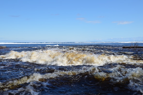 elizabethhalt.com | in the land of ice & snow | the tobacco river