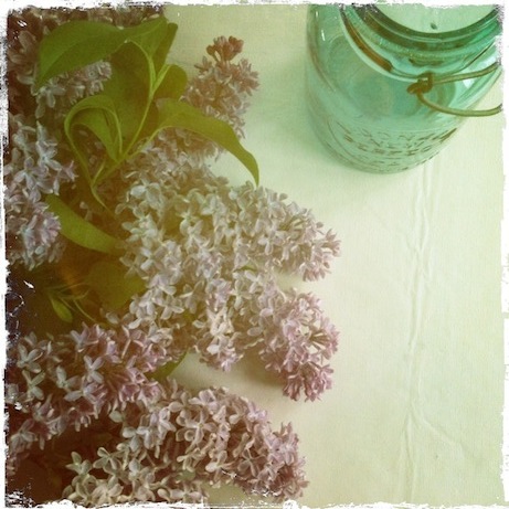 elizabethhalt.com | the scent of lilacs