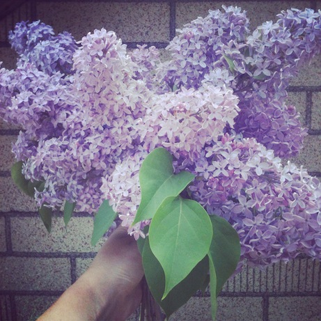 elizabethhalt.com | the scent of lilacs