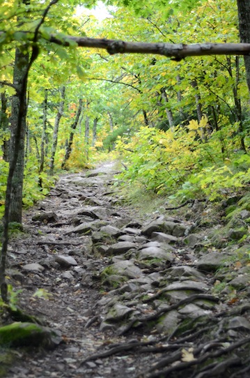 elizabethhalt.com | porcupine mountains wilderness state park