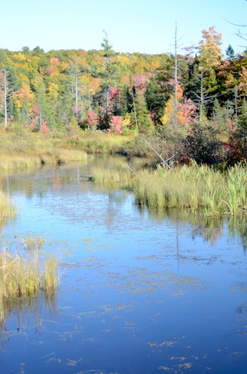 elizabethhalt.com | u.s. 41 in the upper peninsula