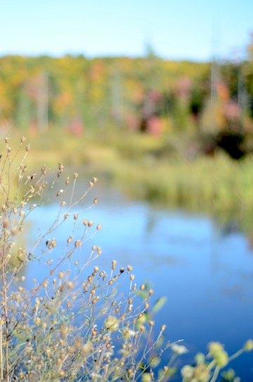 elizabethhalt.com | u.s. 41 in the upper peninsula