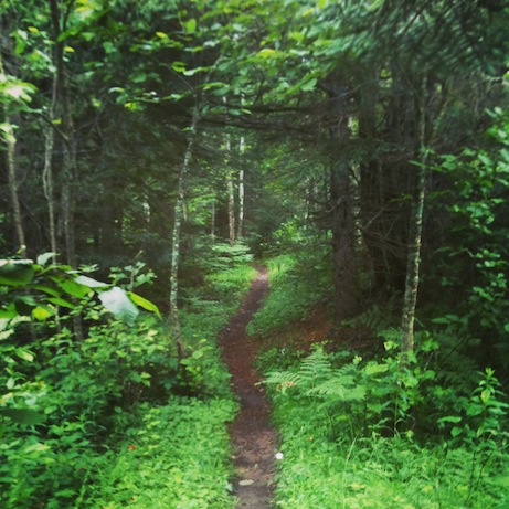 elizabethhalt.com | trails of the keweenaw peninsula