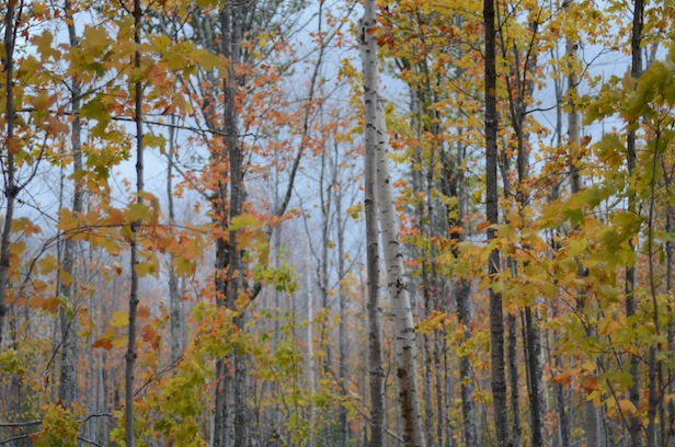 elizabethhalt.com | autumn in the keweenaw peninsula