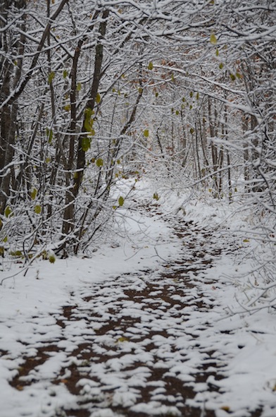 elizabethhalt.com | life in the keweenaw peninsula : the first snow