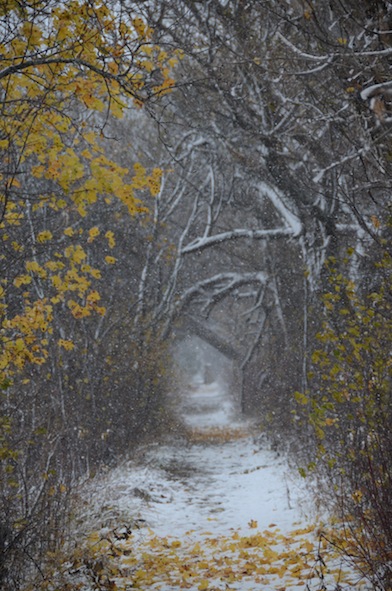 elizabethhalt.com | life in the keweenaw peninsula : the first snow