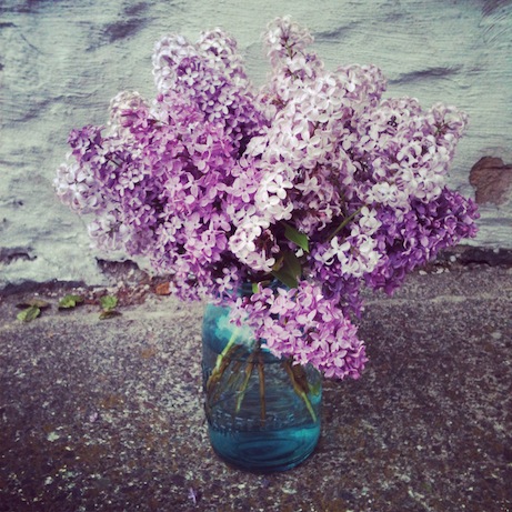 elizabethhalt.com | lilac season has come & gone