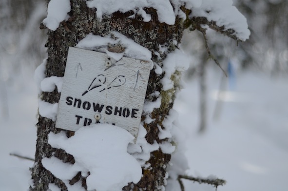 elizabethhalt.com | elizabethhalt.com | snowshoe hike at swedetown